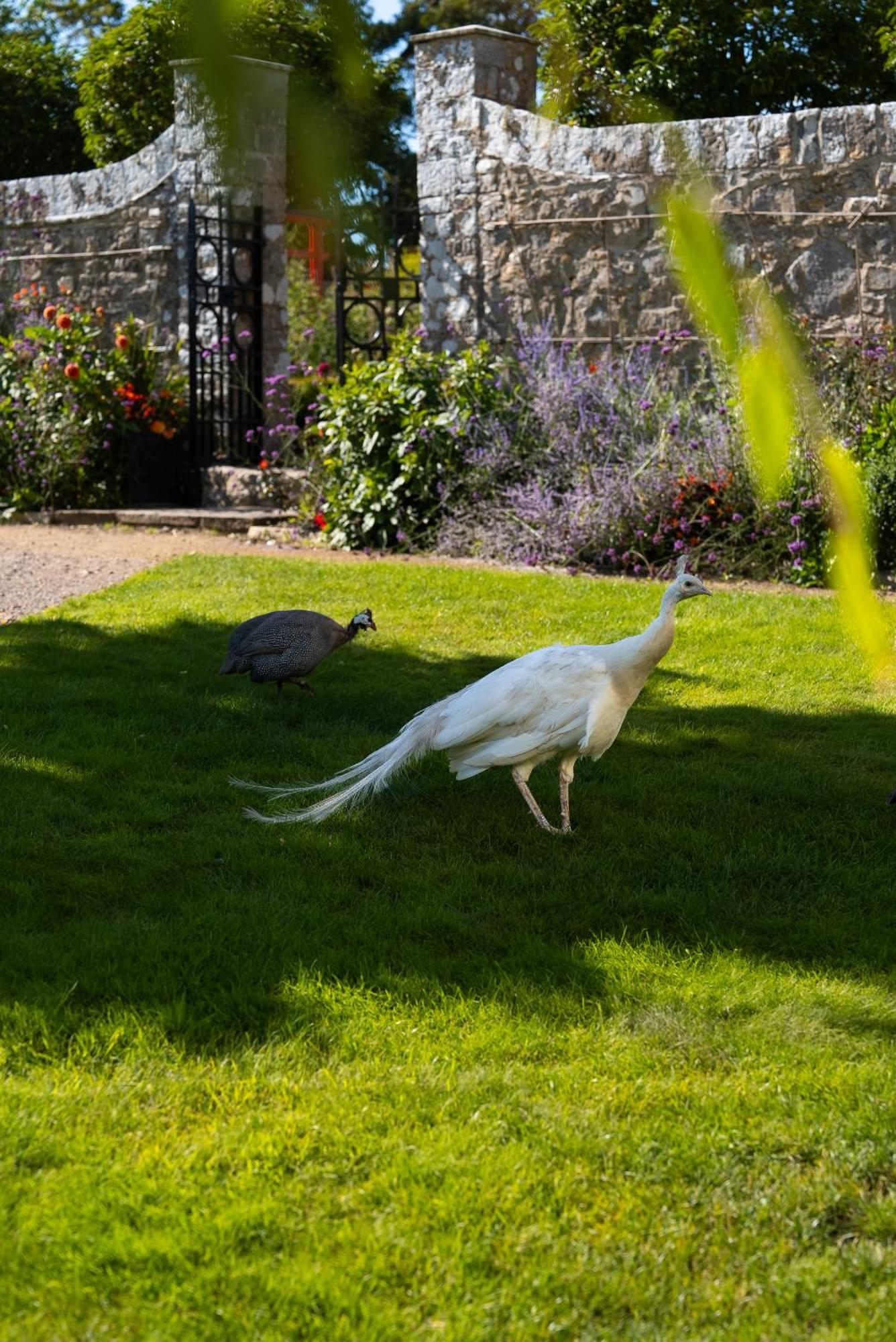 Gileston Manor-Self Catering Daire Saint Athans Dış mekan fotoğraf